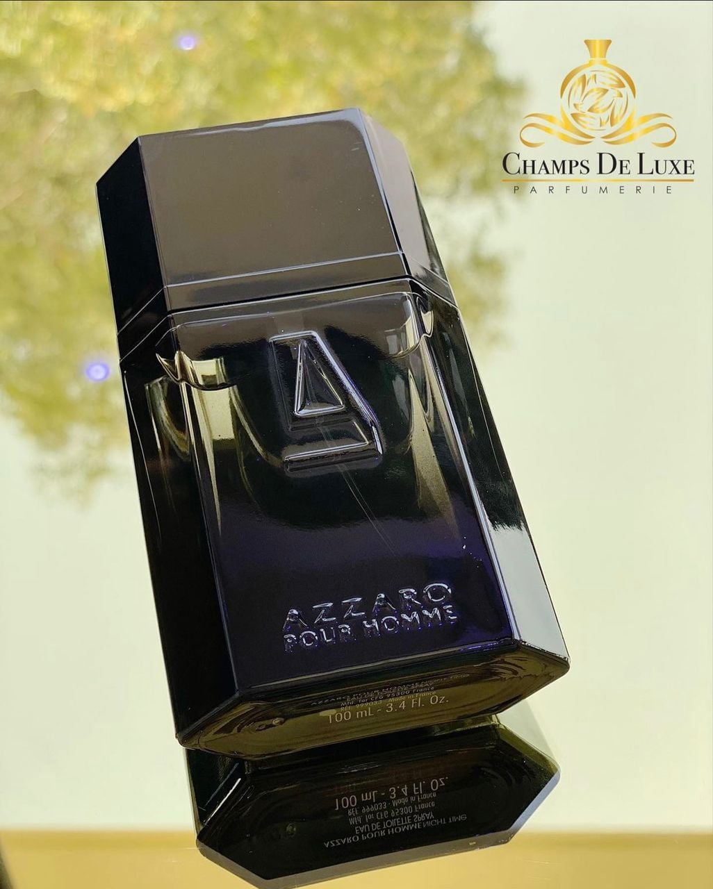 Azzaro Pour Homme